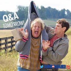 dumbtomovie:  Tomorrow, @JimCarrey & @JeffDaniels are answering