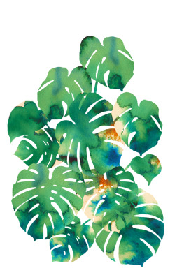 sophievent:  monstera illustration 