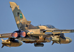 myverycrazyblog:  tornado royal saudi airforce 
