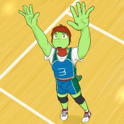 Pokeballers 2: Volleyboy TreeckoSo, I ran out of mystery dungeon