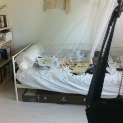 apothecium:  My bedroom (on a very, very tidy day). People always