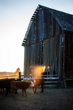 about-usa:Klamath Falls - Oregon - USA (by Loren Kerns) 