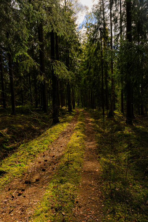 nature-hiking:    Bohusleden trails 4/?    - Bohusleden, Sweden,