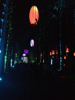 candiedmoon:  some pictures from electric forest! <3