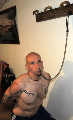 edgingpunk:Bound & Chained up by his septum ring