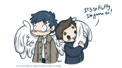 homeiswheretheheartsare:  Demon!Dean likes the fluffy things.