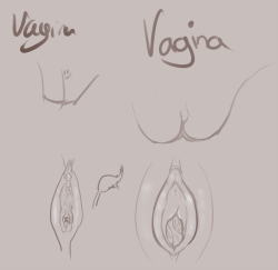 And now a vag! This time we both used the same amount of time.