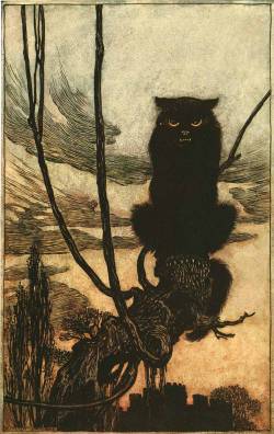 brudesworld:  Arthur Rackham illustration from Grimm’s Fairy