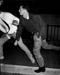 Sean Penn punches photographer Vinnie Zuffante in the courtyard