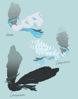 groldergoat:  Altarias based on different clouds. Also clouds