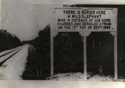 historicaltimes:  Memorial sign erected along the track of the