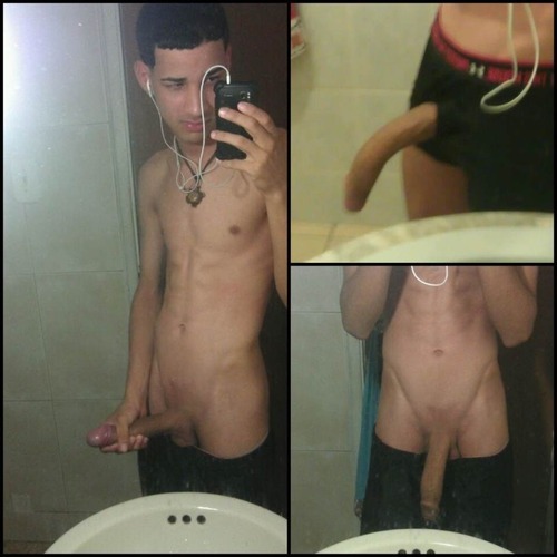 gaychihuahua:  http://gaychihuahua.tumblr.com/