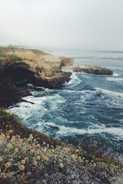 leaberphotos:  ocean mist, CA 