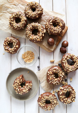 verticalfood:  Chocolate Chocolate Peanut Doughnuts  No shame