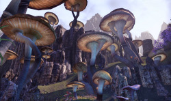 elderscreens:  All you can eat mushrooms! The Brahma’s Grove,