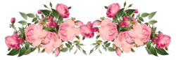 madame-amour:transparent flowers for your tumblr