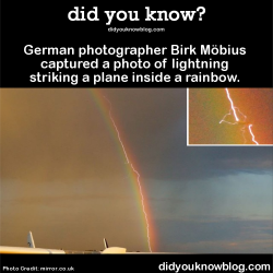 did-you-kno:  did-you-kno:German photographer Birk Möbius captured