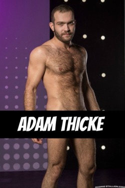 ADAM THICKE at RagingStallion  CLICK THIS TEXT to see the NSFW