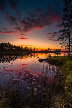 ponderation:Those Midsummer Nights by Juuso Oikarinen