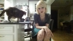 stevita:kitchen selfie ft. roommate’s cat  You are so pretty