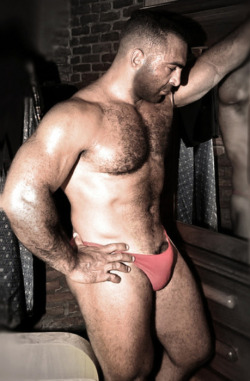 My kind of Bear  -  Handsome, hairy, sexy, muscular and with