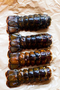 foodffs:  Tarragon and Lemon Lobster Rolls with Garlic Bread