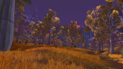 The Beauty of Azeroth