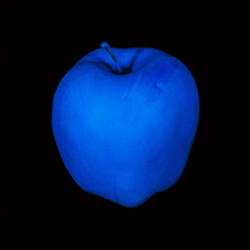 museumuesum:  John Baldessari  Millenium Piece (with Blue Apple),