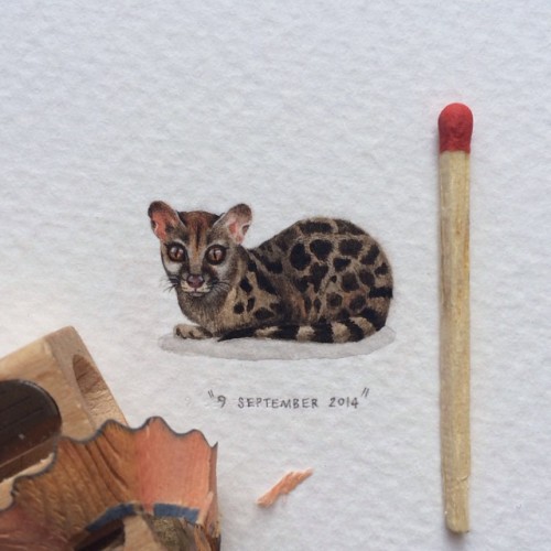 garabating:  Lorraine Loots Extraordinary miniature paintings by Lorraine Loots | Tumblr | Instagram (via illustratosphere) 