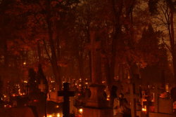 gothnrollx:  Graveyard 2 by ~jsmiarowska