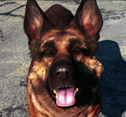 vaultt-tec:  Fallout 4 Companions: Dogmeat, Piper,  Preston Garvey,