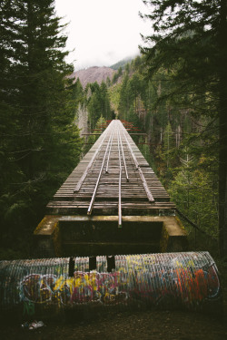 madeleinerobertson:  Vance Creek Bridge | full set here (photo