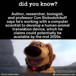 did-you-kno:  He thinks if humans and dogs could understand one