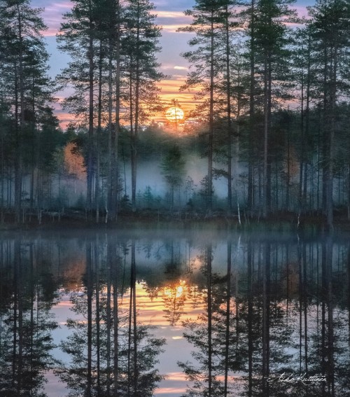 explore4release:  maureen2musings:  …askokuittinen   Beautiful