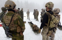 militaryarmament:  Multinational Soldiers train in harsh weather