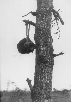 threecanyons:  “1945 image of a Japanese soldier’s severed