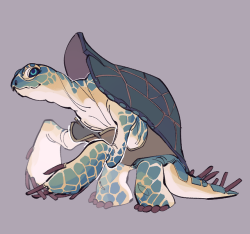 rxryp: im forcing you all to look at my dnd seatortle design.