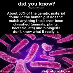 did-you-kno:  About 50% of the genetic material found in the