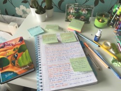 aleishastudies:  16/5/15: my english lit gcse is in two days.