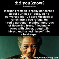 did-you-kno:  He’s also ‘at one with the bees.’ He doesn’t