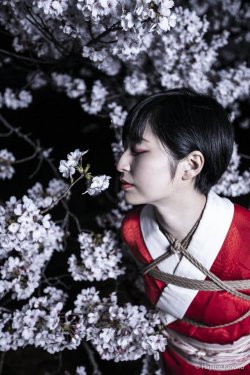 justscreenshots:     Shibari & Photo Hajime Kinoko  Model