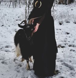 morrioghainworld:#yulegoat #witch #blackphillip #goat #winter