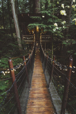 banshy:  Capilano Suspension Bridge Park by: Braedin Toth