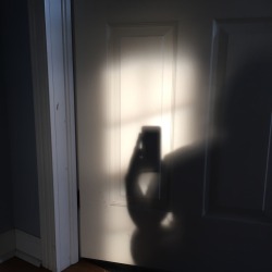 monetfairy:  shadows / looks
