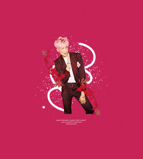 monoka:   940912 ~ happy birthday namjoon ðŸ»ðŸŽ€ðŸŽ‰ðŸ’#HappyNamjoonDay #BTSRMday2016   