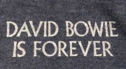 releasethedoves: printed inside a t-shirt from the bowie exhibit