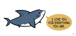 gloomyllama:  mcrae-guy-the-science-guy:  cutie-sharks:  positivedoodles: