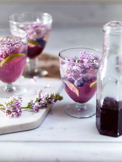 uyesurana:homemade lilac soda