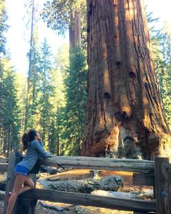 Had to stop & say what’s up to #GeneralSherman 🌲