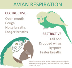 vegankeeper:  The difference between obstructive and restrictive